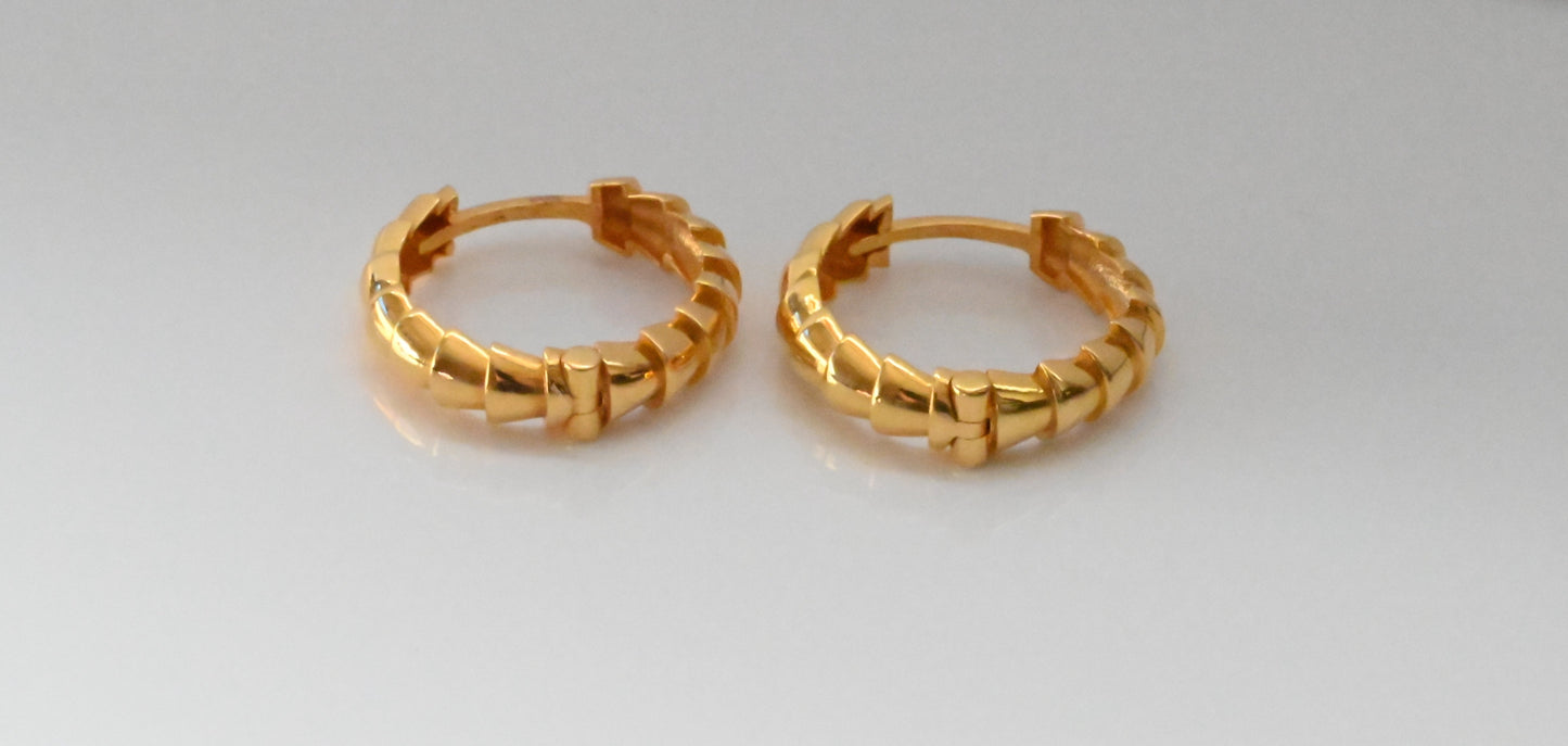 21k Hoop Stylish Earrings