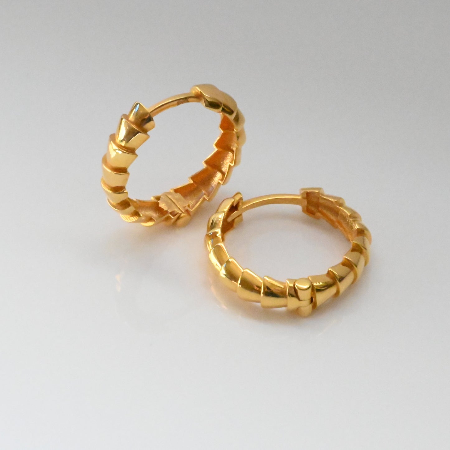 21k Hoop Stylish Earrings