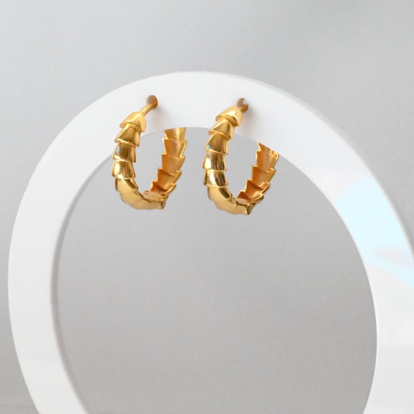 21k Hoop Stylish Earrings