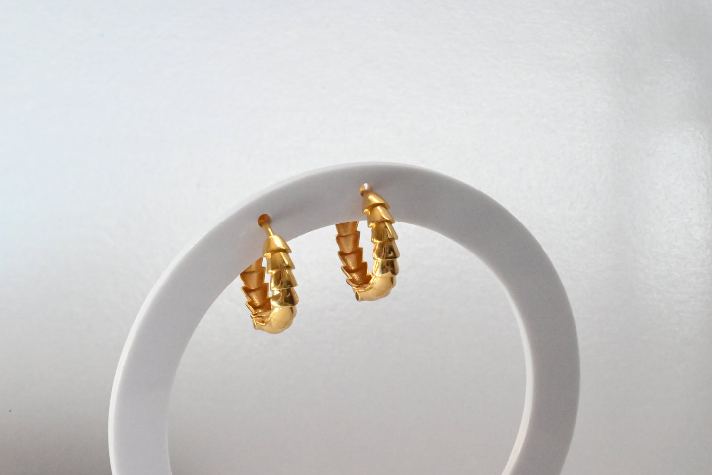 21k Hoop Stylish Earrings