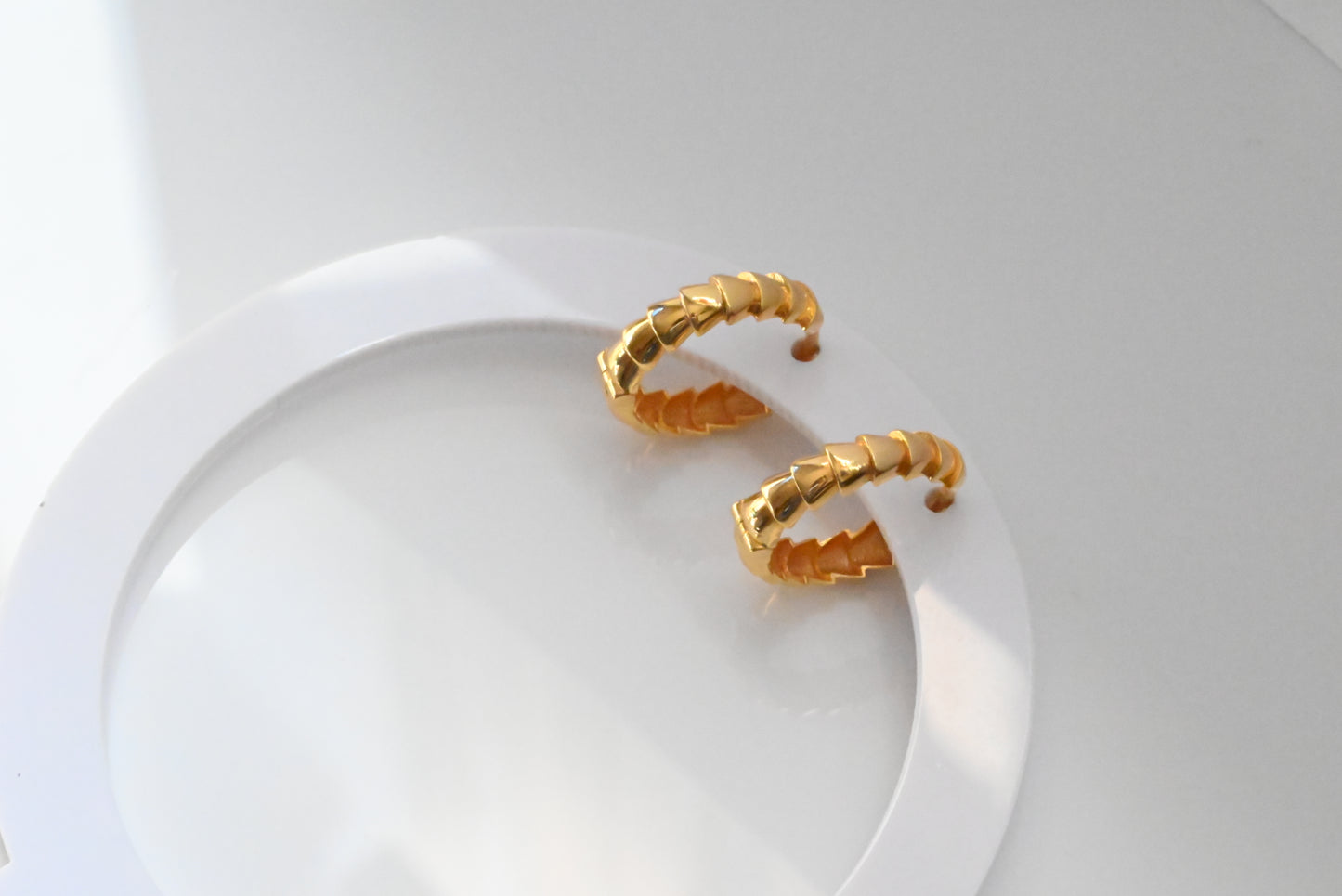 21k Hoop Stylish Earrings