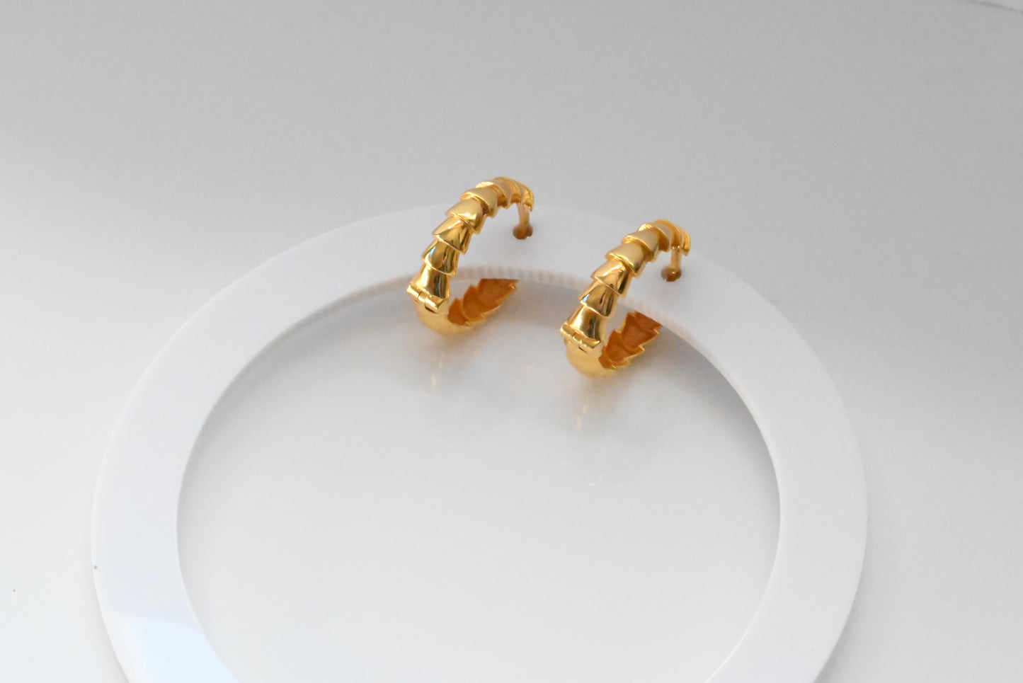 21k Hoop Stylish Earrings